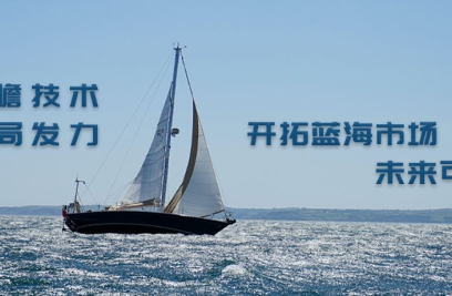 6686.com官网张燕生：前瞻技术布局发力，开拓蓝海市场可期